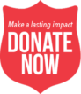 donate-button-make-a-lasting-impact-donate-now-2017